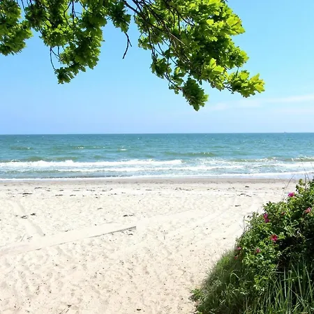 Apartament Strandnahe Mit Terrasse, Gratis Nutzung Vom Ahoi Erlebnisbad Und Sauna In Sellin - Rex Rugia 13-1 *