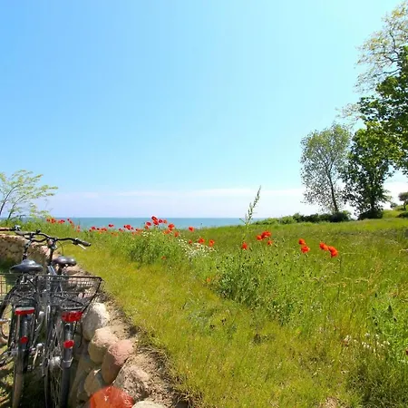 Apartament Strandnahe Mit Terrasse, Gratis Nutzung Vom Ahoi Erlebnisbad Und Sauna In Sellin - Rex Rugia 13-1